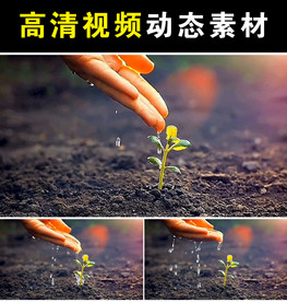 浇水希望mp4短视频素材
