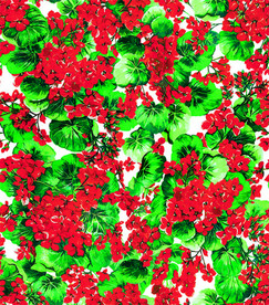 红花绿叶循环图