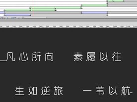 凡心所向素履以往 生如逆旅航