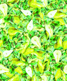 好看的梨子海洋