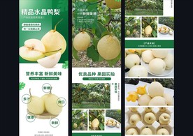 水晶鸭梨详情页