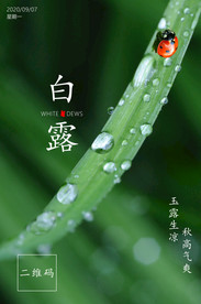 寒露微信 白露