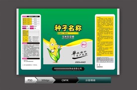 玉米种子