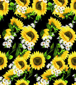 菊花 向日葵