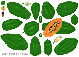 木瓜手绘素材