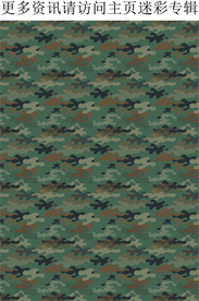 迷彩图案 迷彩印花