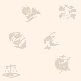 硅藻泥网板欧式现代中式花纹