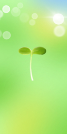 绿色豆芽新生植物嫩芽