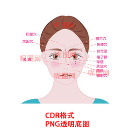 美女面部穴位图CDR矢量高清图