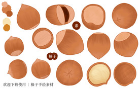 榛子手绘素材