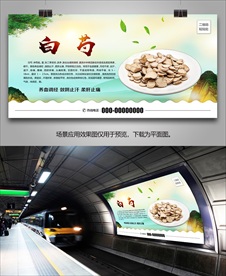 野生白芍海报灯箱展板展架挂画