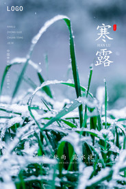 二十四节气 寒露节气海报