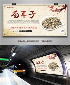 中草药苍耳子灯箱海报展板挂画