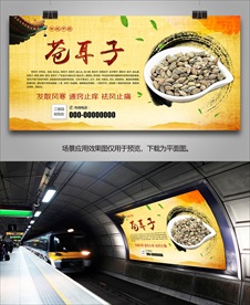 中药材苍耳子海报灯箱展板挂画