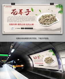 中药苍耳子海报展板展架挂画单页