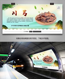 中药材川芎灯箱展板展架挂画海报