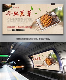 虫草灯箱海报展板展架挂画单页