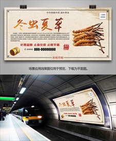 正宗冬虫夏草海报灯箱展板挂画