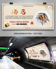 中药材海马海报灯箱展板展架挂画