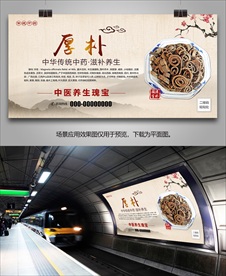 中药厚朴简介海报灯箱展板展架
