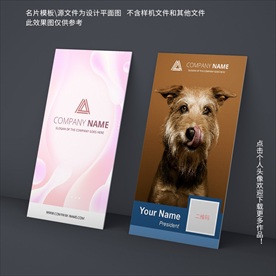宠物名片