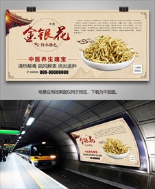 金银花简介海报灯箱展板展架挂画