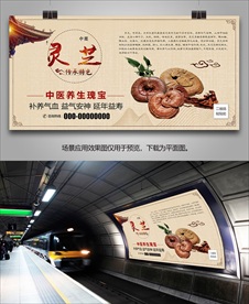名贵中药灵芝海报灯箱展板挂画