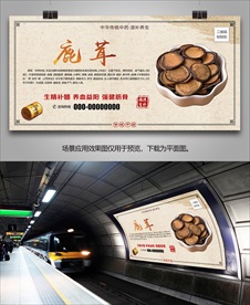 鹿茸招贴海报灯箱展板展架挂画