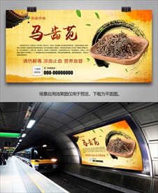 中药马齿苋海报灯箱展板展架挂画