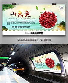 野生山茱萸灯箱海报展板挂画单页