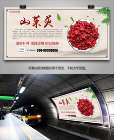 中药山茱萸灯箱海报展板展架挂画