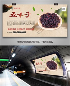 五味子灯箱展板挂画单页海报展架