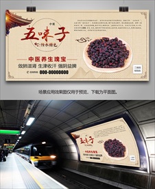 五味子宣传单页海报灯箱展板展架