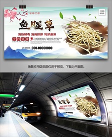 野生鱼腥草海报灯箱展板展架挂画