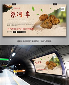 紫河车灯箱海报展板展架挂画单页