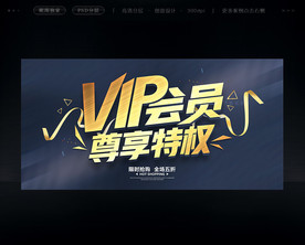 VIP会员