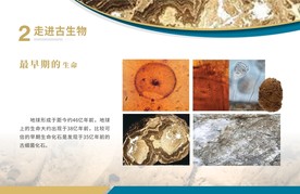 古生物展板 最早期的生命