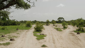 马里干燥的道路