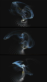 动态罗形旋转轨迹特效视频素材