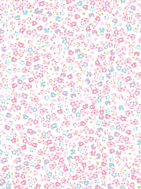 密集精美小碎花花卉