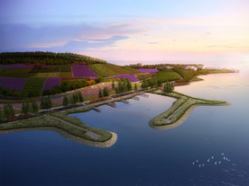 滨湖湿地景观规划效果图