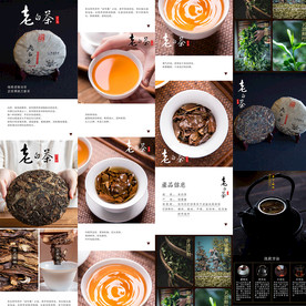 福鼎老白茶茶叶茶饼详情页