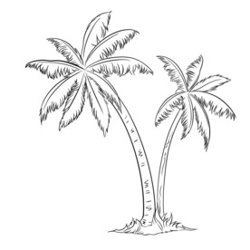 手绘线条椰子树