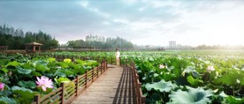 生态荷塘湿地景观效果图