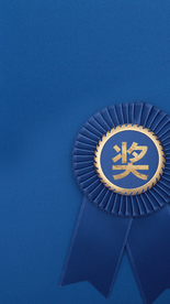 高端地产品牌获奖海报