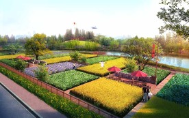 田园乡村规划设计效果图