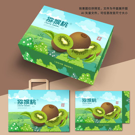 猕猴桃包装 猕猴桃礼盒