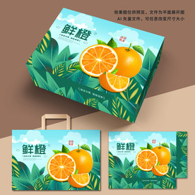 橙子包装 橙子礼盒