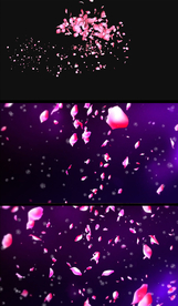 唯美梦幻粉色花瓣舞动视频效果