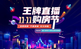 双11购房节